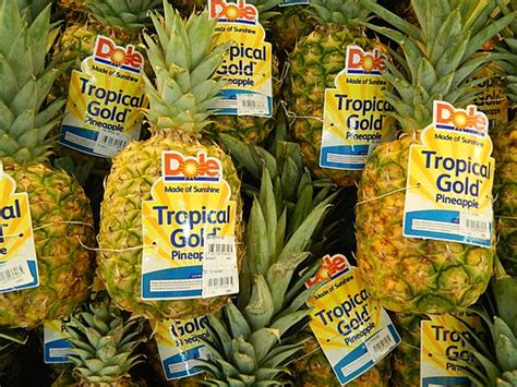 Dole plc .